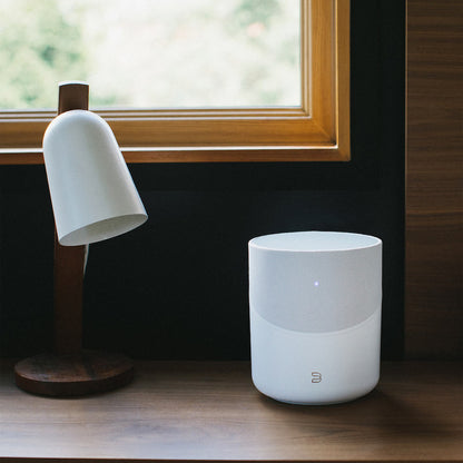 Bluesound PULSE M Wireless Streaming Speaker
