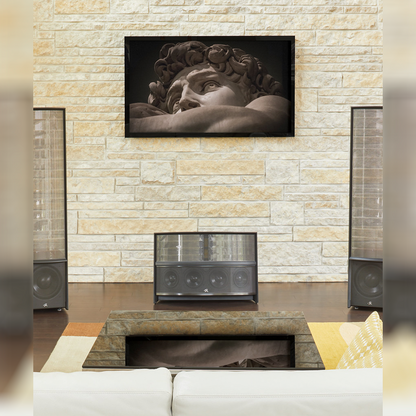 Martin Logan Illusion ESL C34A
