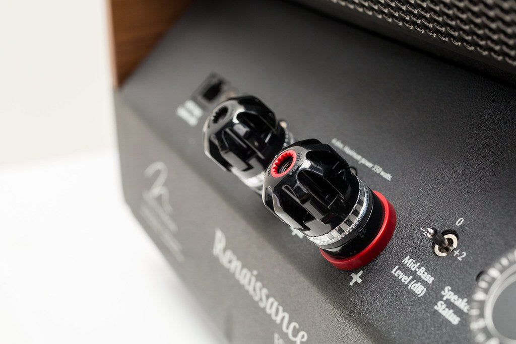 Martin Logan Renaissance ESL 15A - Pair