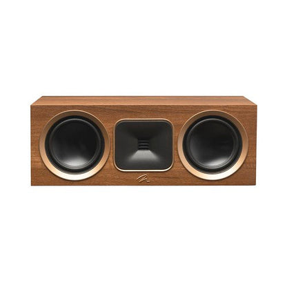 Martin Logan Motion Foundation C1