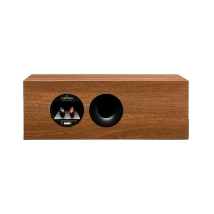 Martin Logan Motion Foundation C1