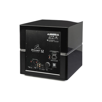 Martin Logan Dynamo 12