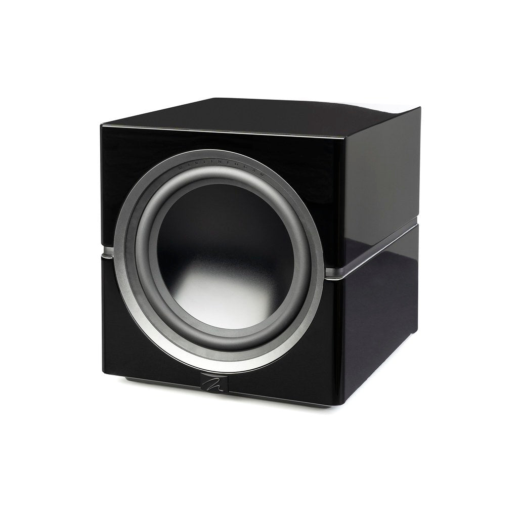 Martin Logan Dynamo 12