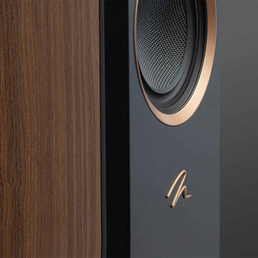 Martin Logan Motion XT F100
