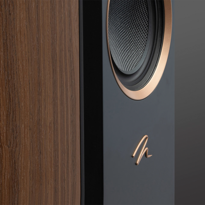 Martin Logan Motion XT F100