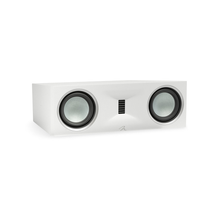 Martin Logan Motion XT C100