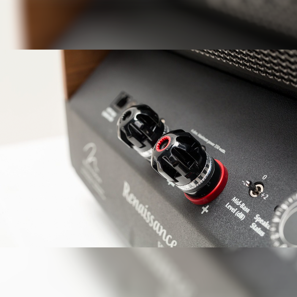 Martin Logan Renaissance ESL 15A - Pair