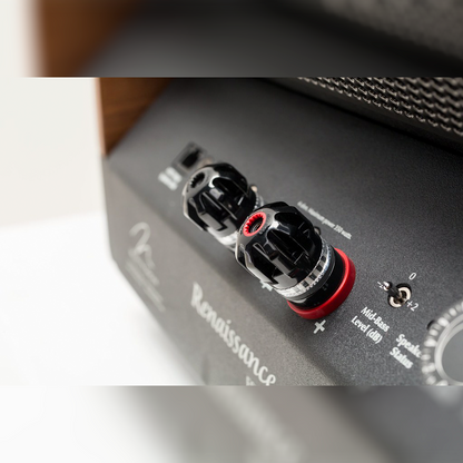 Martin Logan Renaissance ESL 15A - Pair