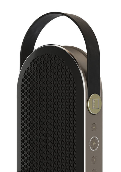Dali Katch G2 Portable Bluetooth Speaker