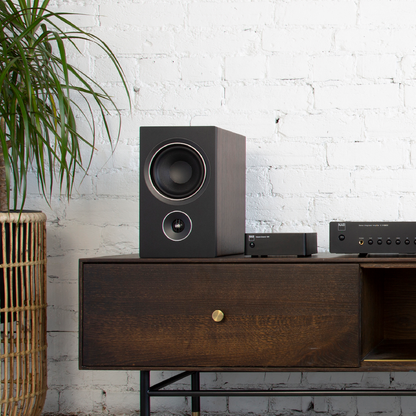 NAD CS1 Network Streamer with Wi-Fi and Bluetooth