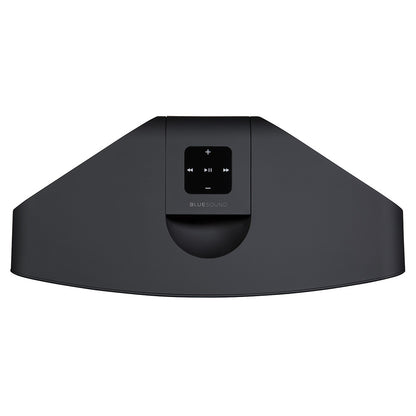 Bluesound PULSE 2i