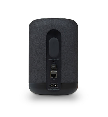 Bluesound PULSE FLEX (P130)