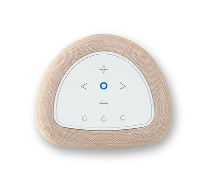 Bluesound PULSE FLEX (P130)
