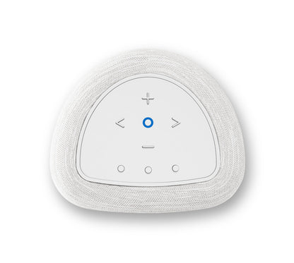 Bluesound PULSE FLEX (P130)