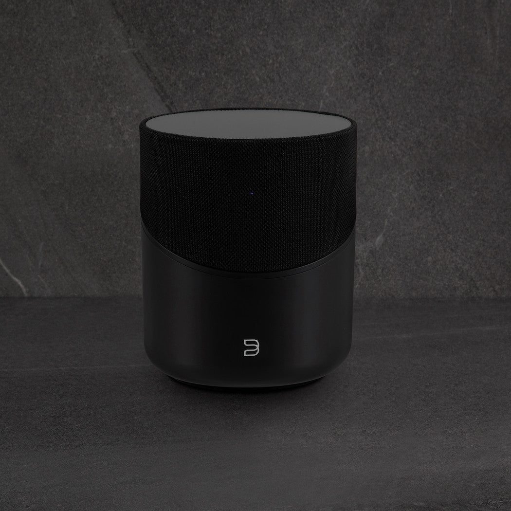 Bluesound PULSE M Wireless Streaming Speaker