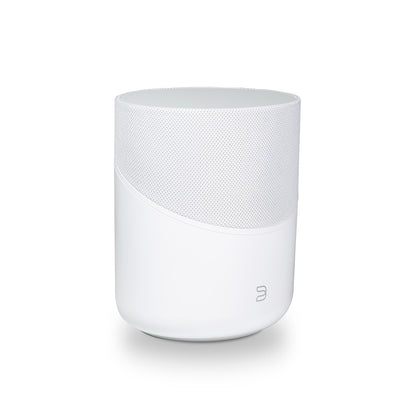 Bluesound PULSE M Wireless Streaming Speaker
