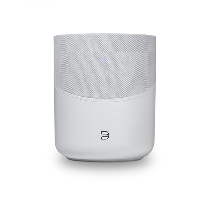Bluesound PULSE M Wireless Streaming Speaker