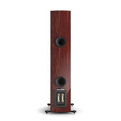 DALI RUBIKORE 6 in maroon — rear view