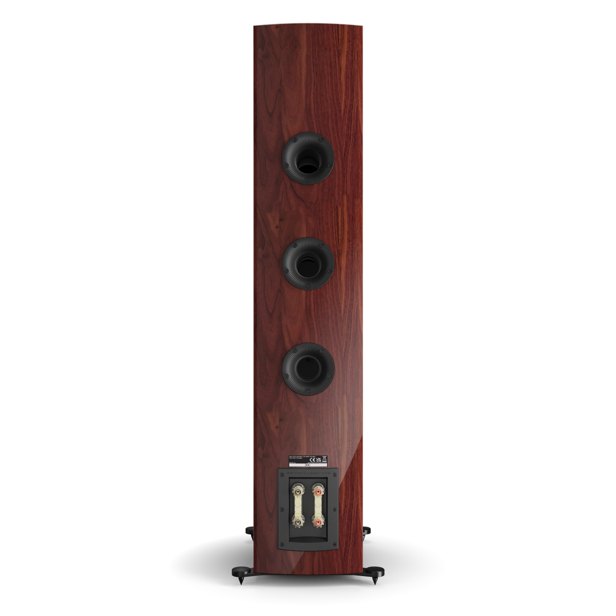 DALI RUBIKORE 8 in maroon — rear view