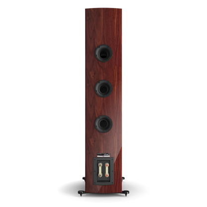 DALI RUBIKORE 8 in maroon — rear view