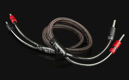 AudioQuest Rocket 33 Speaker Wire — 10 feet (pair)
