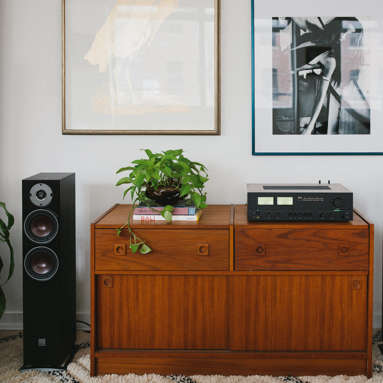 NAD C3050 Stereophonic Amplifier
