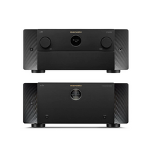 AV 10 AV Preamplifier & AMP 20 Power Amplifier Bundle