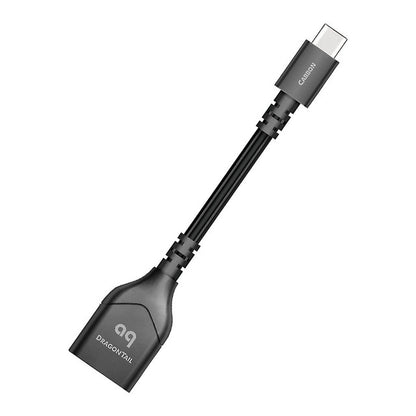 AudioQuest DragonTail USB-C Adaptor