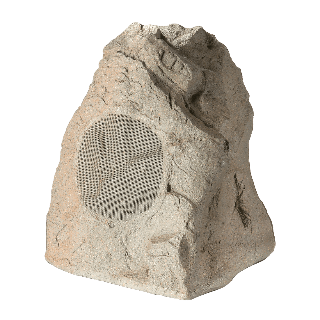 Paradigm Rock Monitor 80-SM Outdoor Speaker